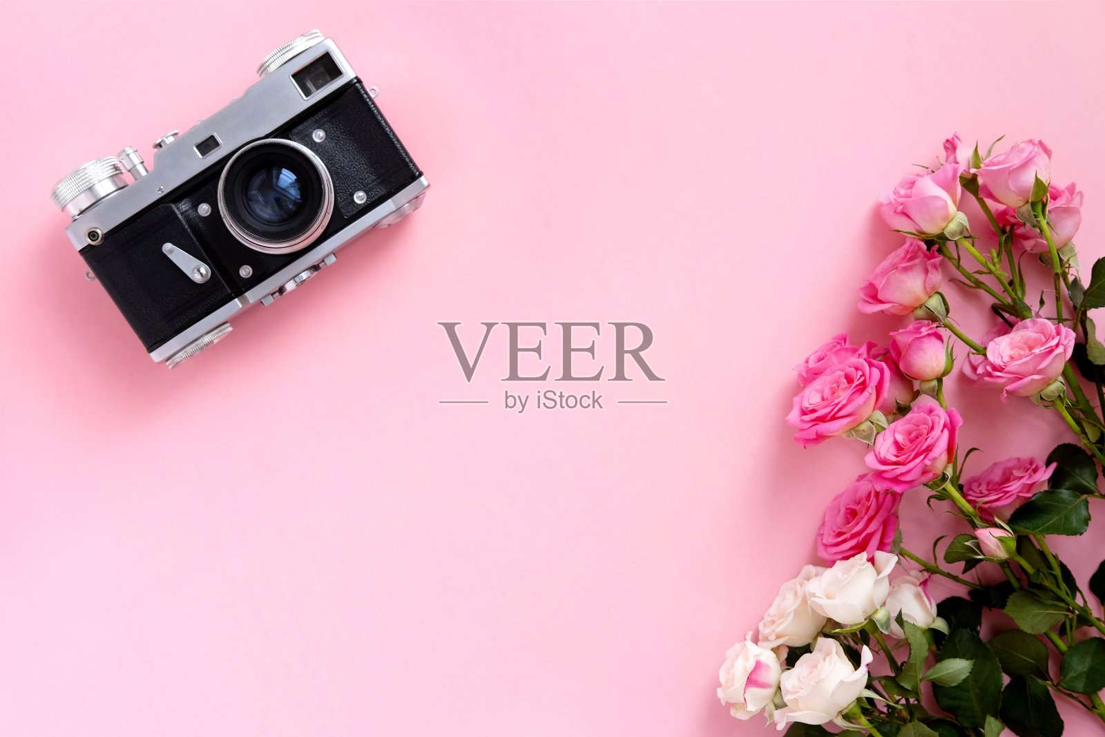 花卉组成与粉红色玫瑰花环和复古相机在粉红色的背景。情人节的背景。平躺，俯视图。照片摄影图片
