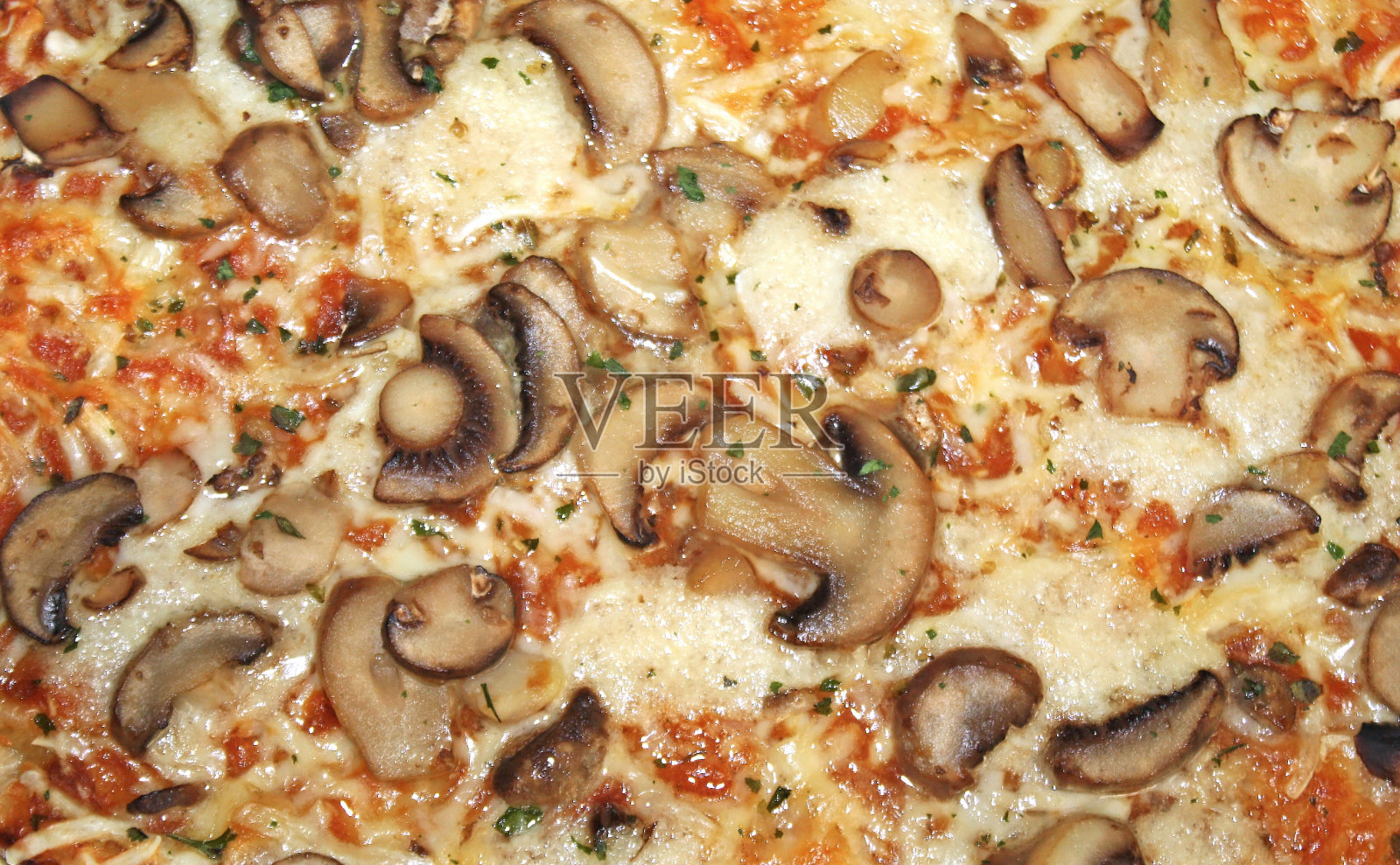 蘑菇和融化的马苏里拉奶酪披萨背景照片摄影图片
