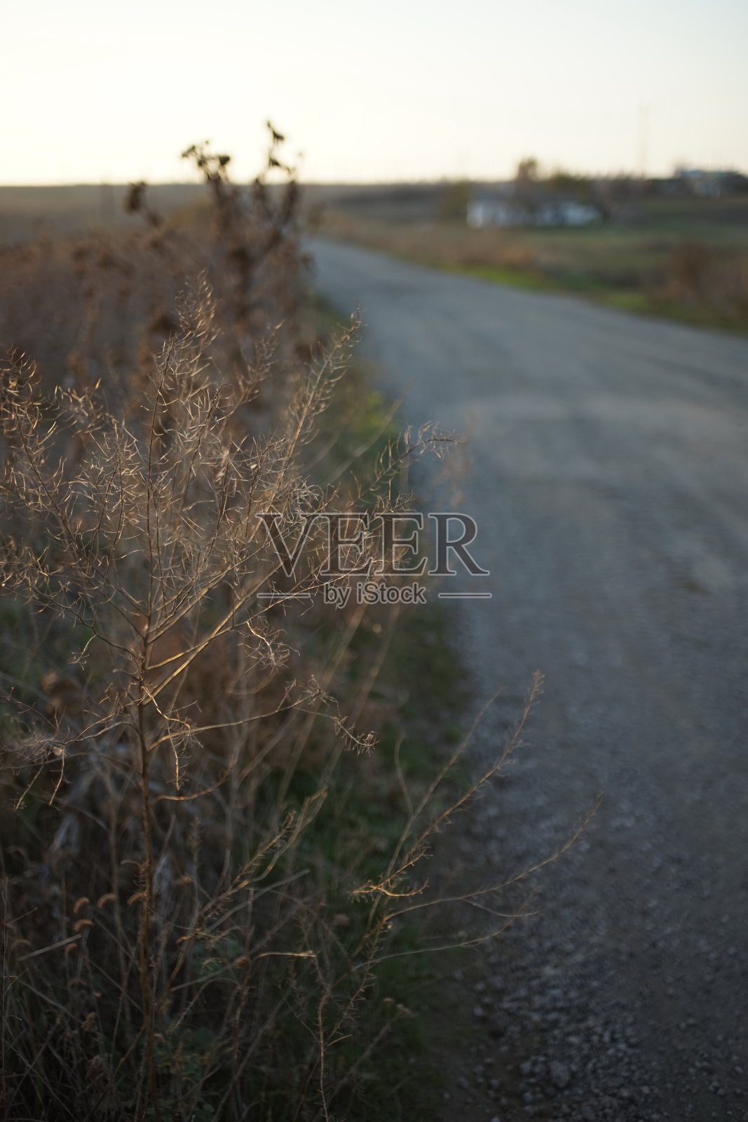 干枯的秋天的草和香草的背景是一条乡村道路。照片摄影图片