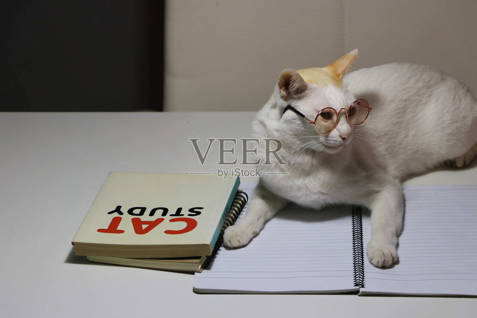 白猫戴着眼镜躺在笔记本上，旁边放着猫学习用的书。照片摄影图片