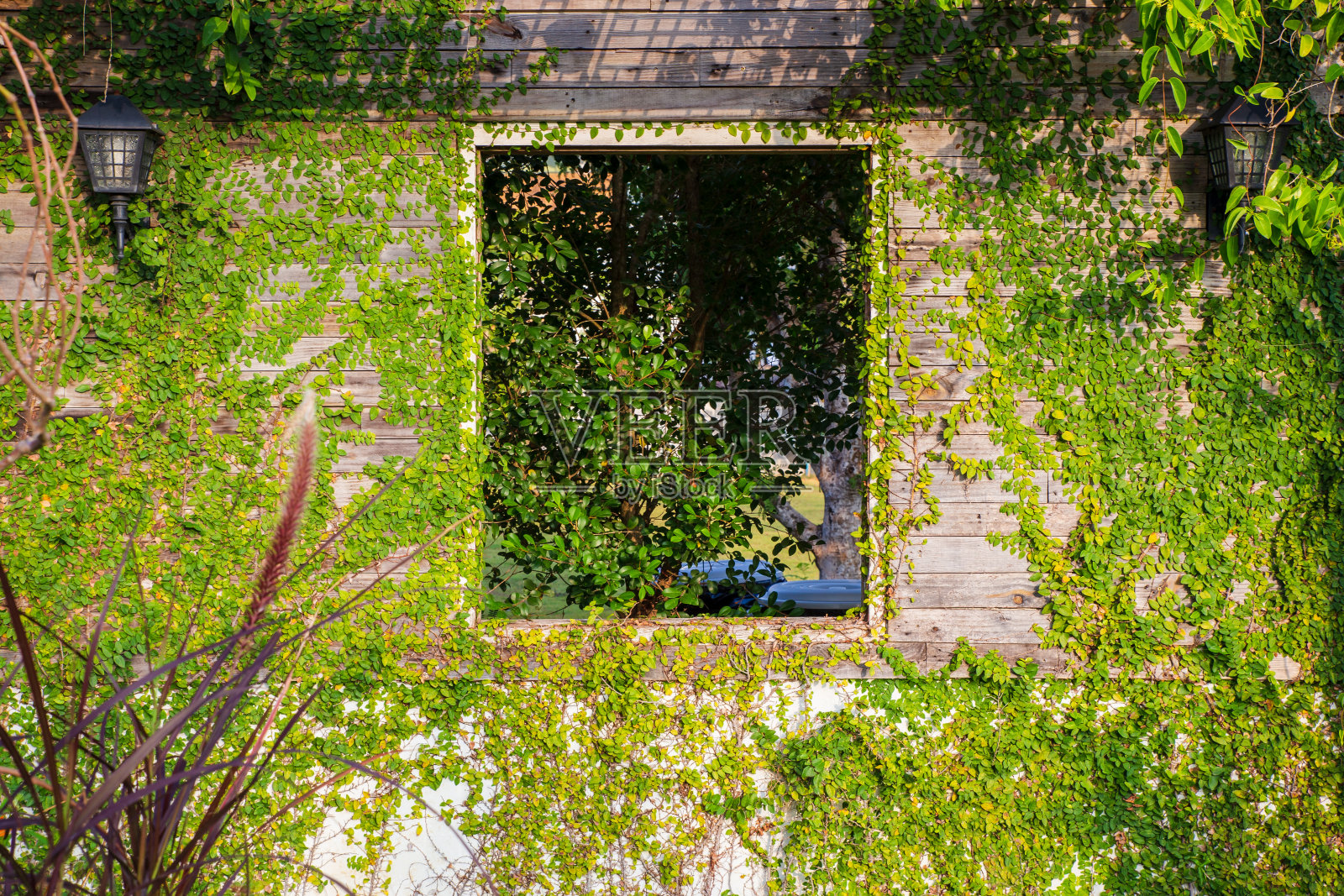 房子的门。古老的乡村房子，一扇窗户，木栅栏，绿树。照片摄影图片