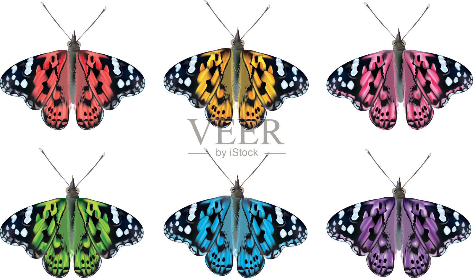 飞舞的彩色蝴蝶孤立在白色的背景。3D逼真美丽的蝴蝶。生物学。矢量图设计元素图片