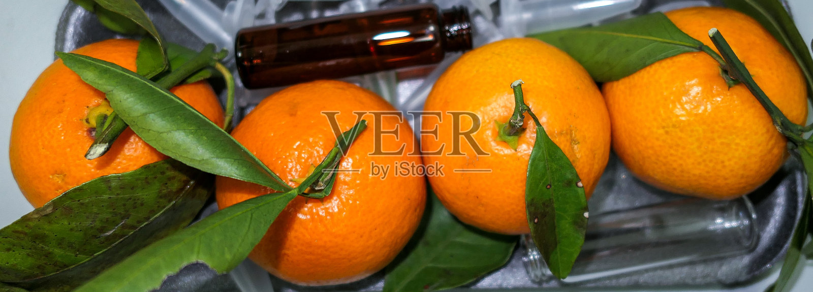 新年桔子在化验室近了照片摄影图片