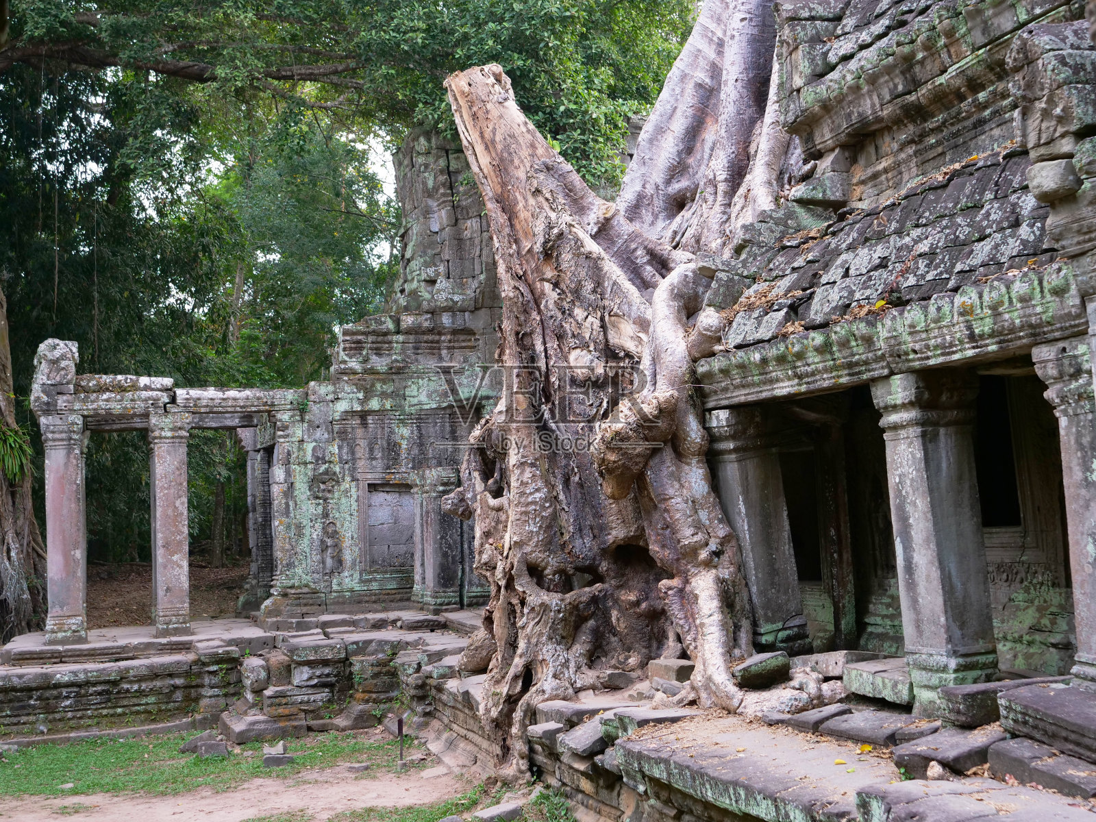 柬埔寨暹粒吴哥窟建筑群，拆除的石头建筑和空中树根景观。一个受欢迎的旅游景点坐落在雨林中。照片摄影图片