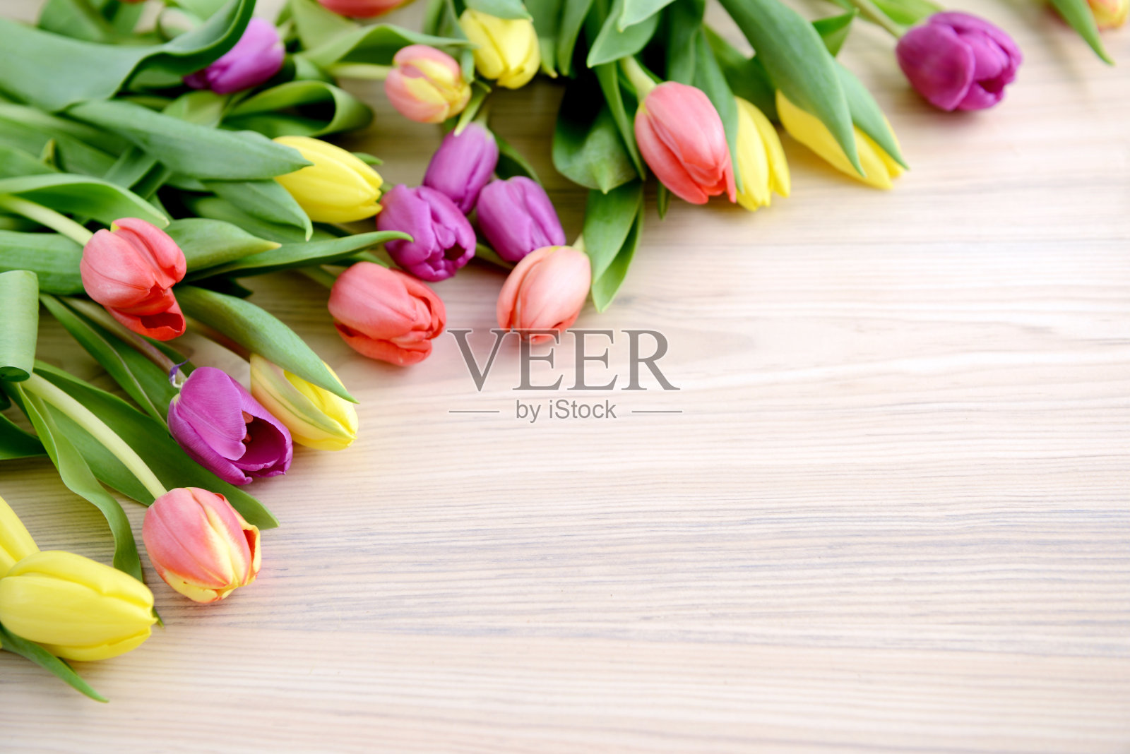 桌上有五颜六色的郁金香。植物区系。复制右边的空间。照片摄影图片