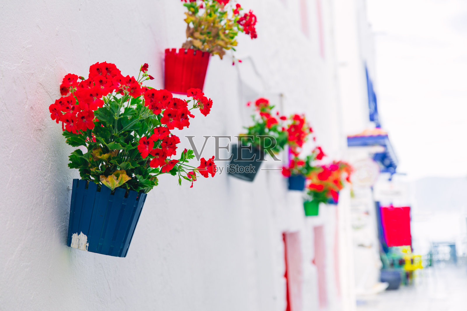 土耳其博德鲁姆市的街道和鲜花景观照片摄影图片