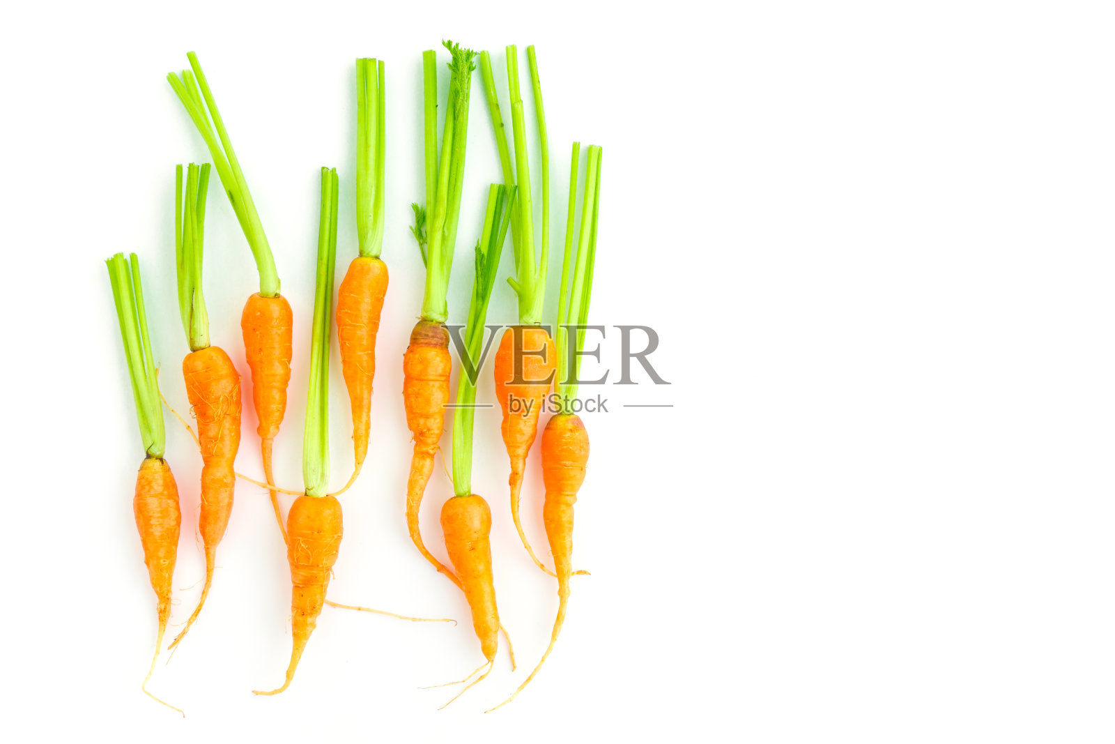 白色背景上的小胡萝卜照片摄影图片