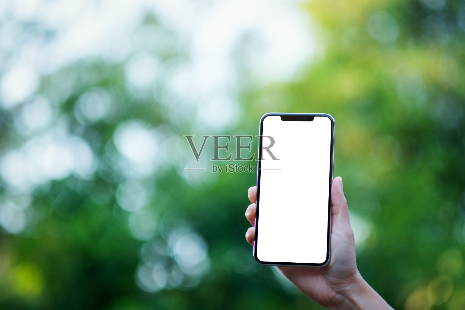 手持带绿色自然背景的空白手机照片摄影图片
