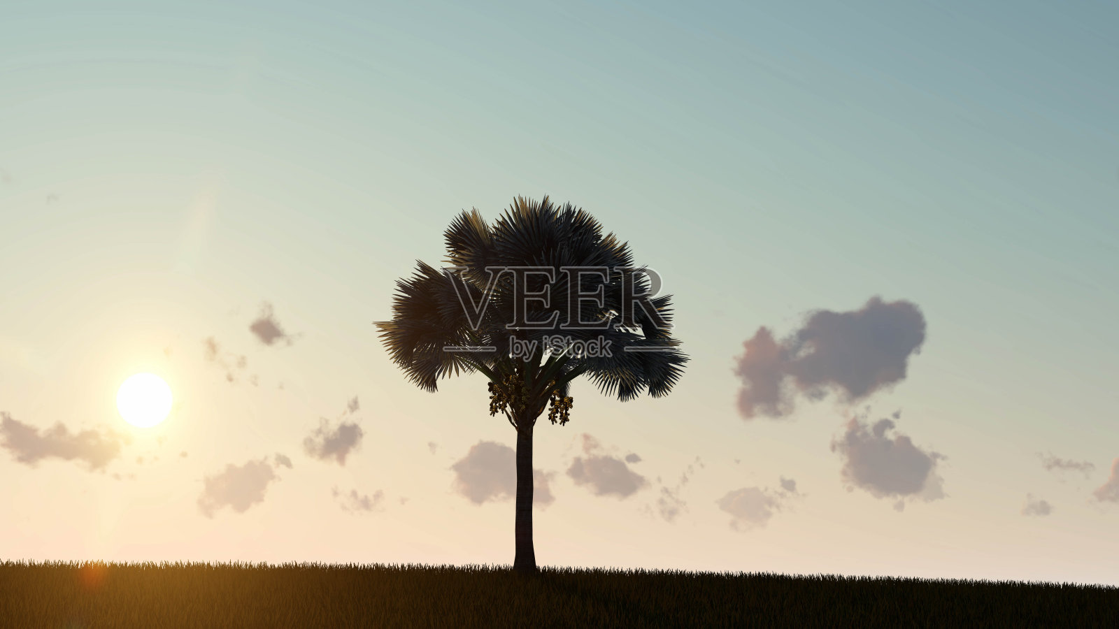 棕榈树的剪影日落3D渲染照片摄影图片