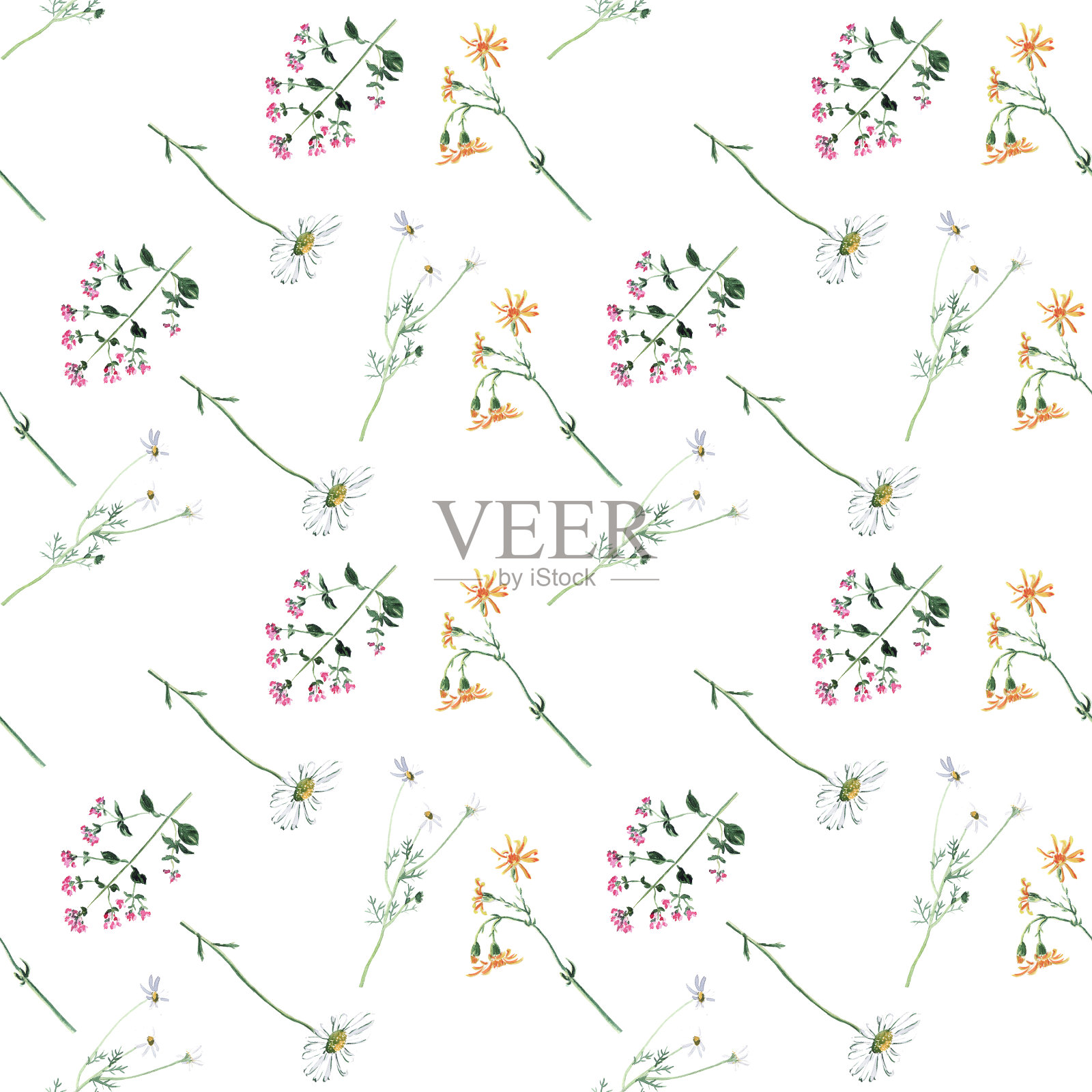 无缝图案-花水彩素描洋甘菊，牛至和其他野花插画图片素材