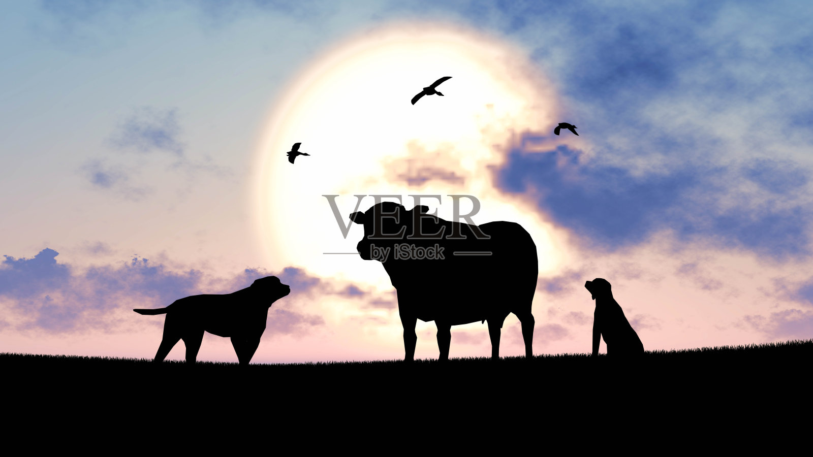 奶牛在日落3D渲染插画图片素材