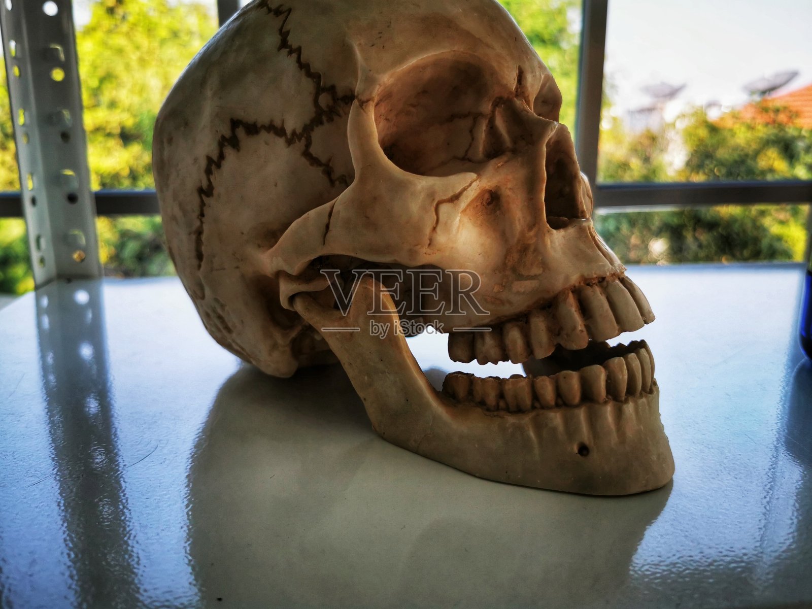 神奇神秘的巫术人类头骨用来告诉神秘的算命先生照片摄影图片