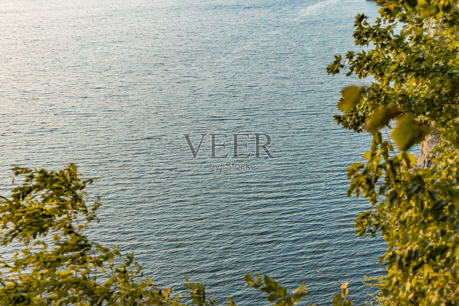 自然图案绿色黄色树叶框架和水面背景春天的时间开花季节的壁纸风景与空白的复制空间为您的文字在这里照片摄影图片