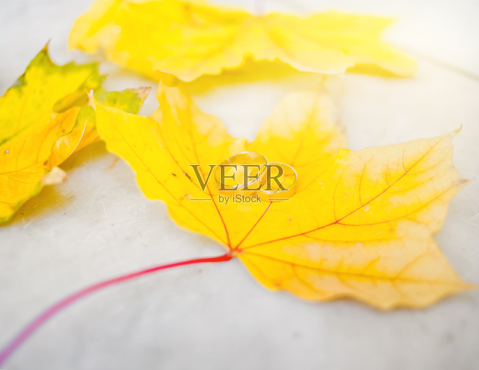 婚礼照片摄影图片