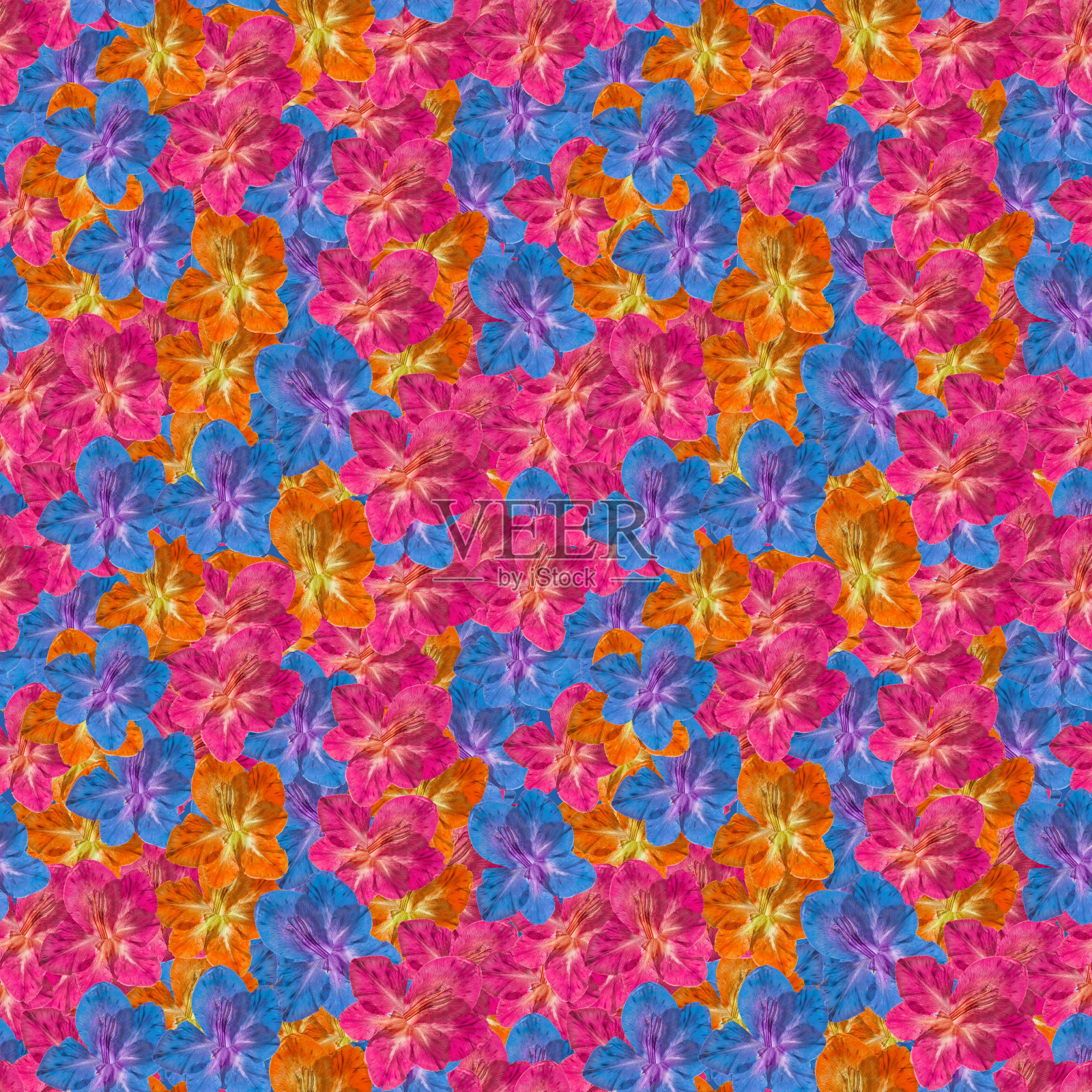 剑兰。插图，花的纹理。连续复制的无缝模式。花卉背景，照片拼贴制作的纺织品，棉织品。用于墙纸，封面插画图片素材