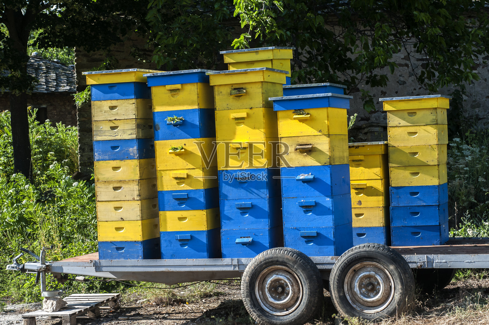 运输平台上的木制蜂箱照片摄影图片
