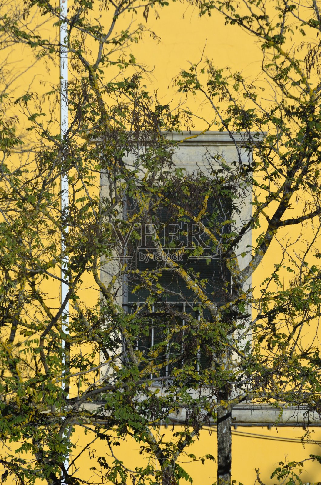 Elvas,所有这些照片摄影图片