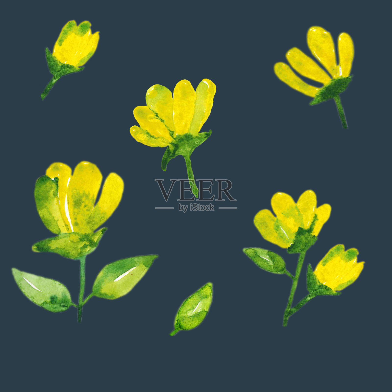 水彩花卉设计套装：深蓝色背景上的春季水彩花朵插画图片素材