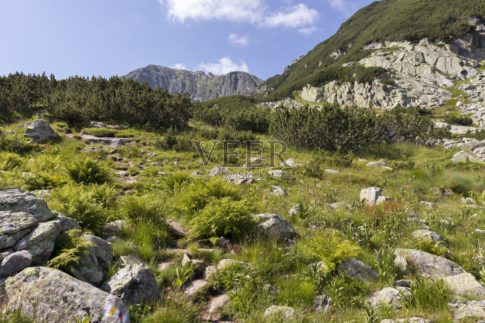 保加利亚瑞拉山的骆驼峰(Kamilata)照片摄影图片