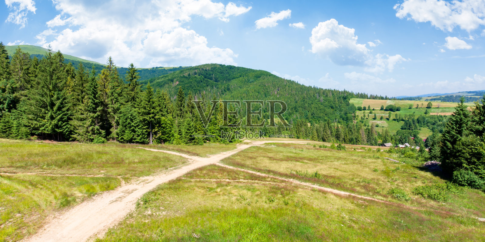 夏天森林茂密的喀尔巴阡山脉照片摄影图片