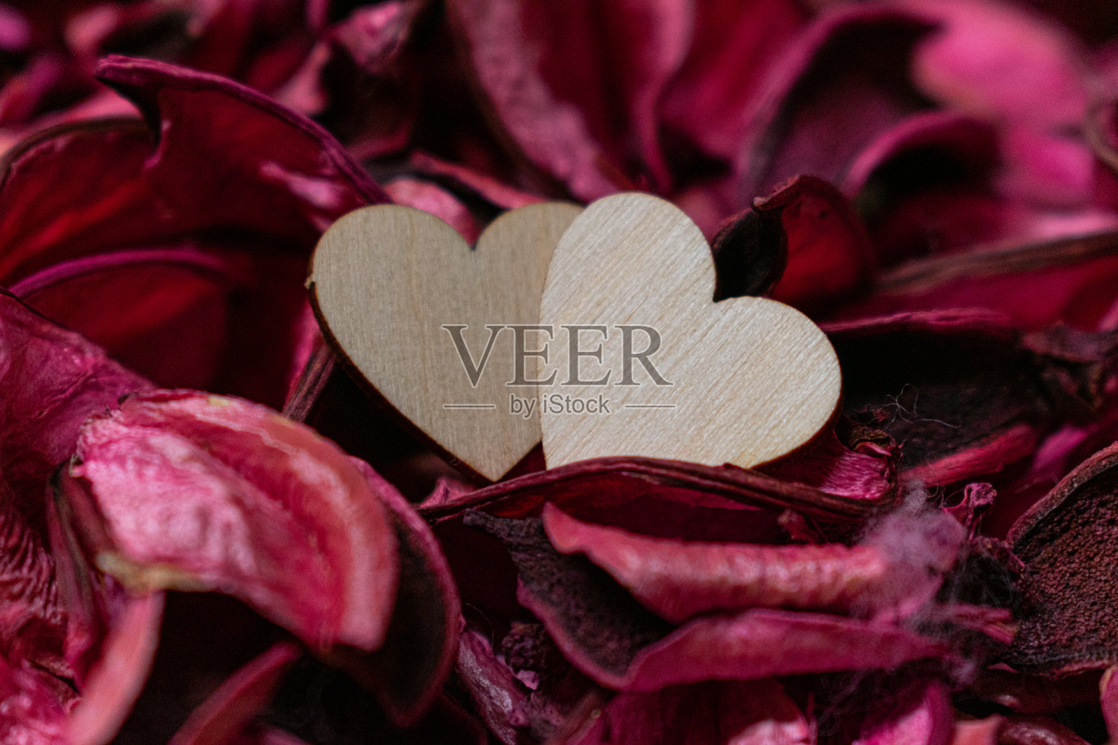 情人节明信片上的两颗玫瑰花瓣上的心形图案照片摄影图片