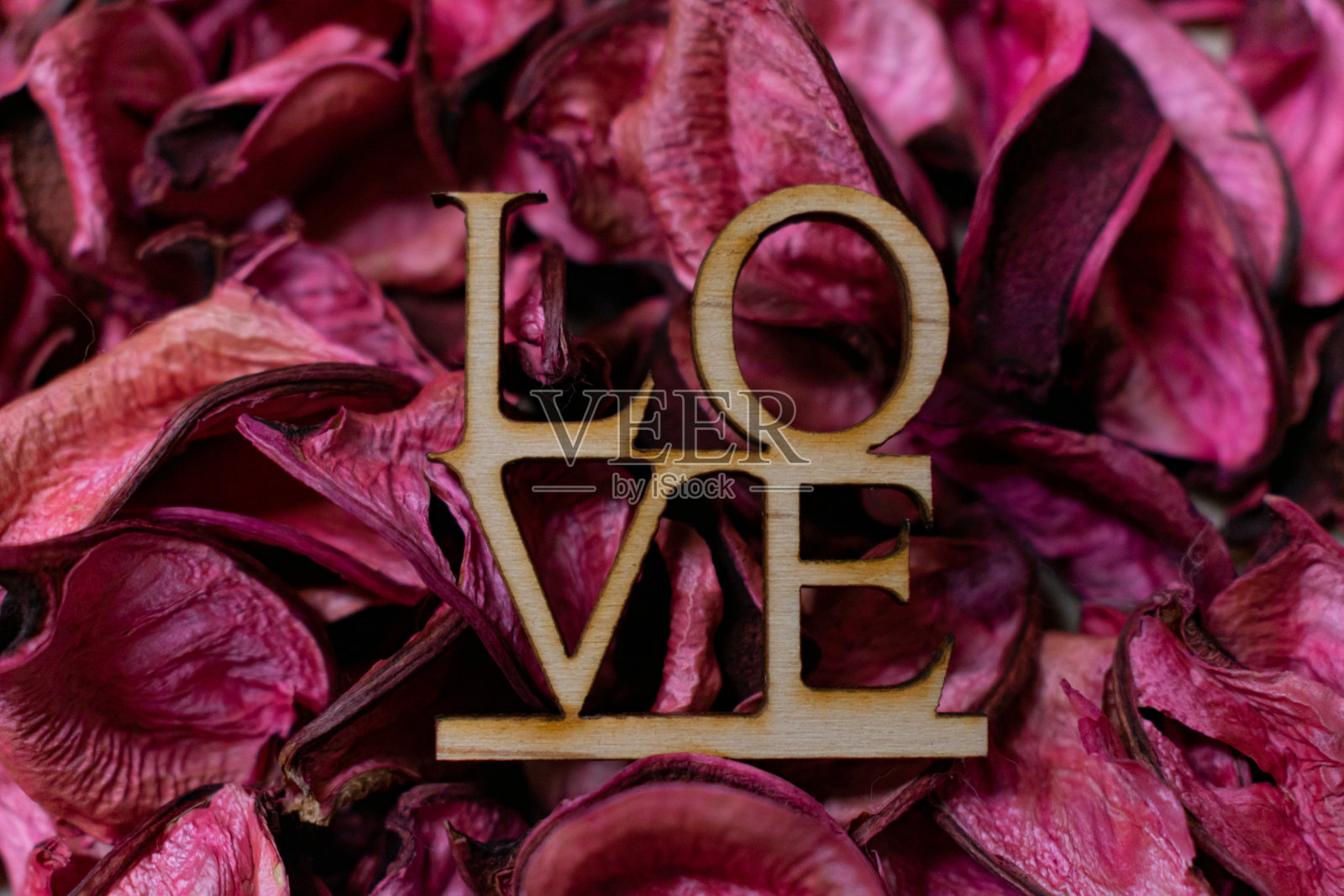 情人节明信片上的玫瑰花瓣上写着“LOVE”。近距离照片摄影图片