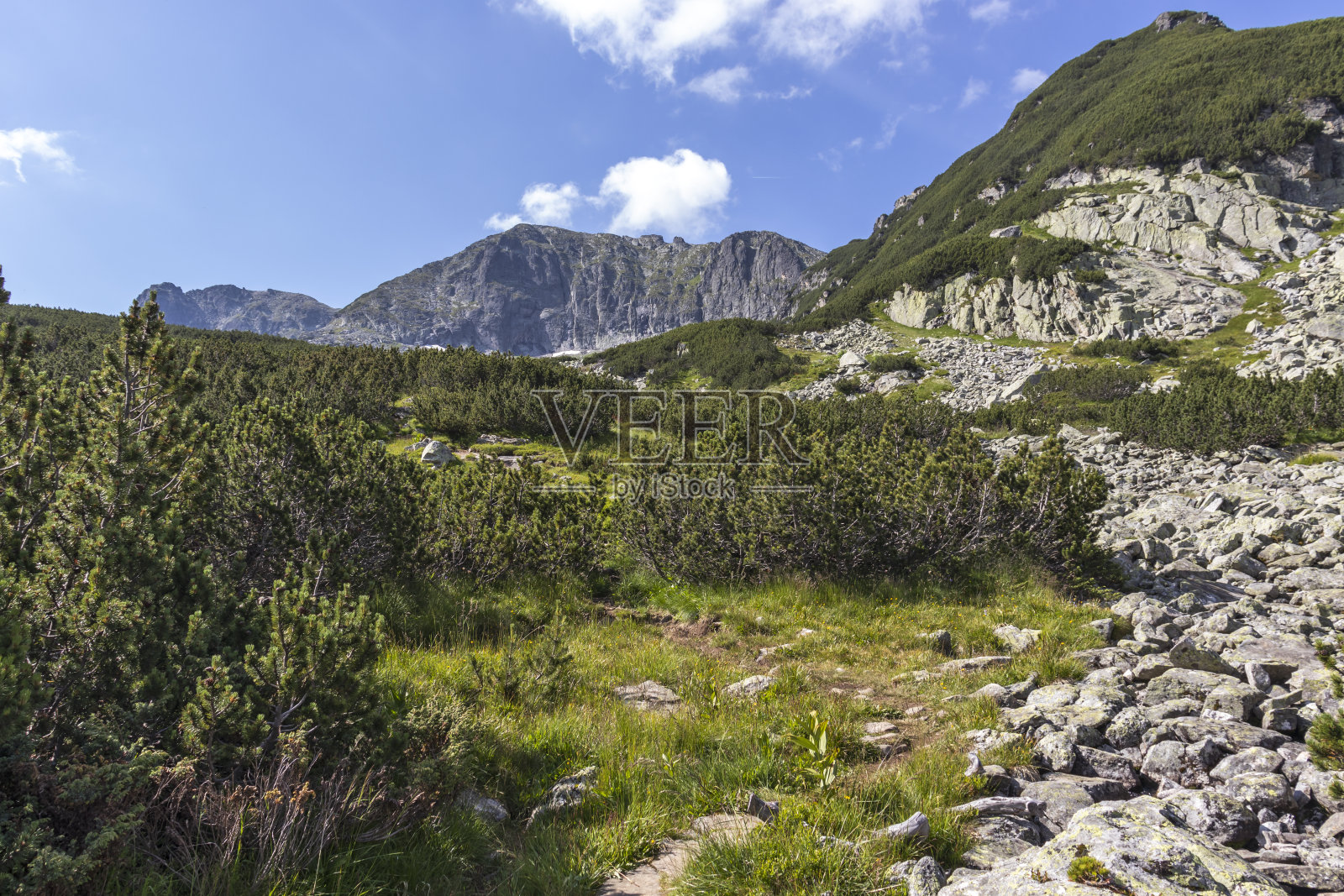 骆驼(Kamilata) peaк在瑞拉山，保加利亚照片摄影图片