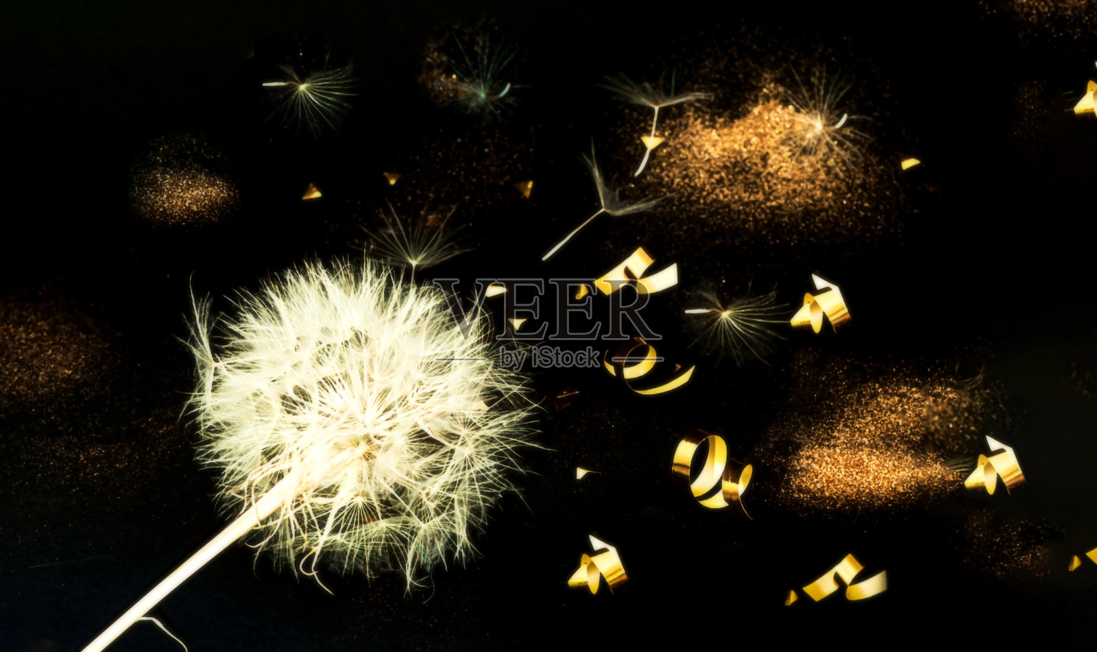白色蒲公英的花序在黑色的背景与金色的闪光。概念节日背景或项目照片摄影图片