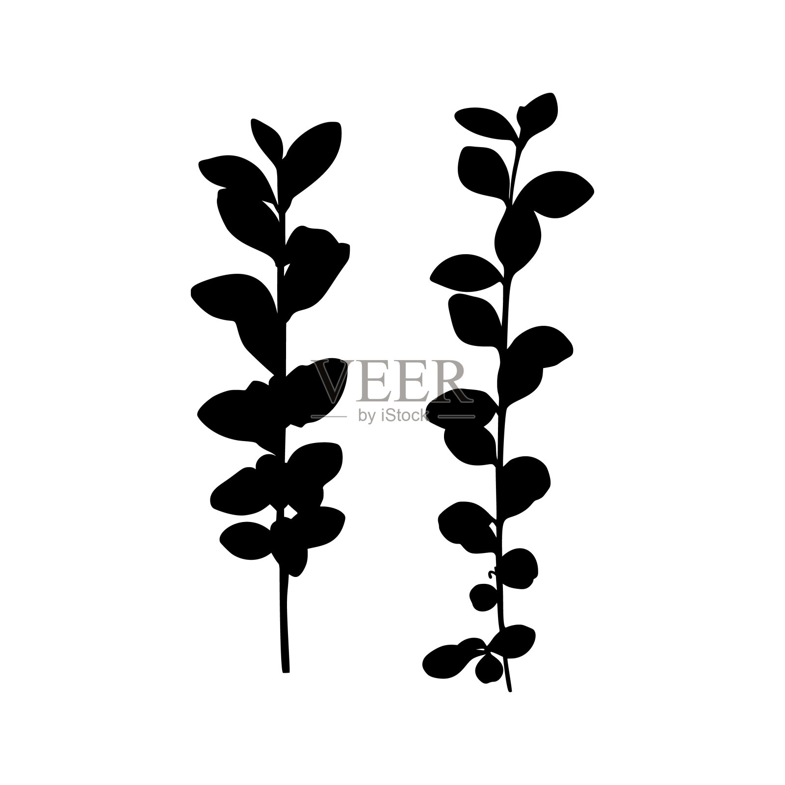 在白色背景上孤立的一株植物的分支的黑色剪影。矢量图设计元素图片