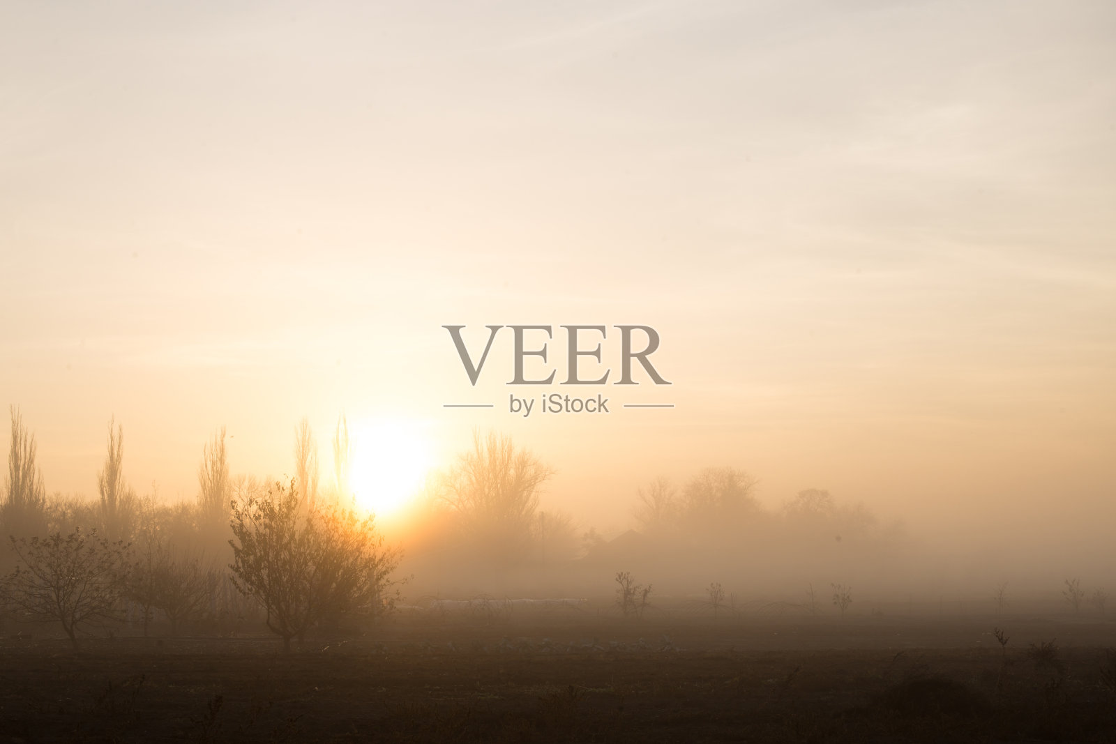 雾蒙蒙的sunrice照片摄影图片