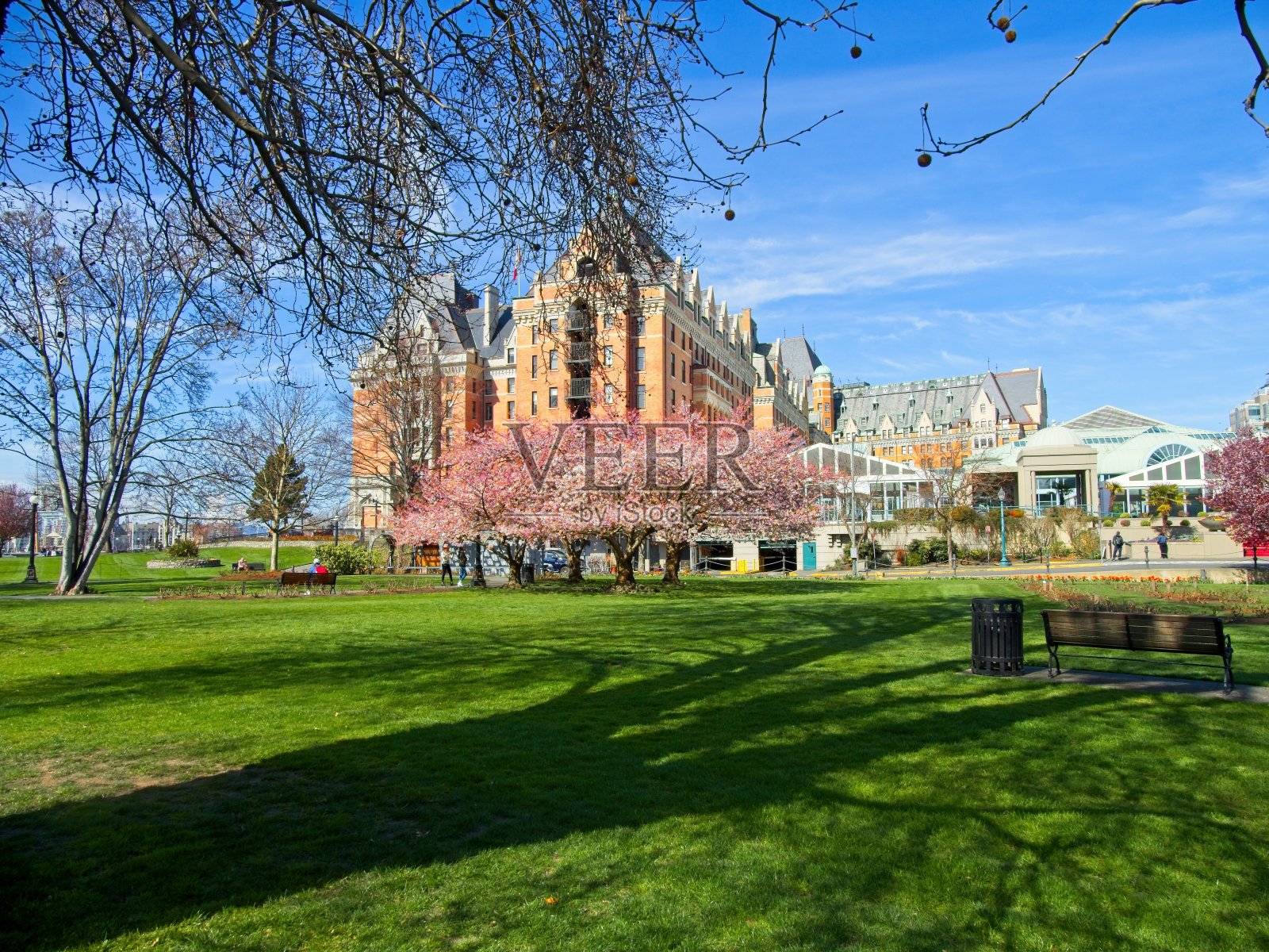 加拿大维多利亚市中心的春花照片摄影图片