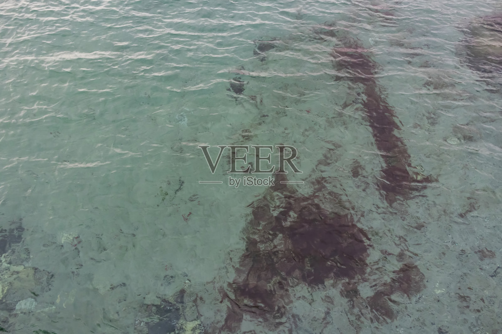 马尔马拉海在冬季和多云天气的观点照片摄影图片