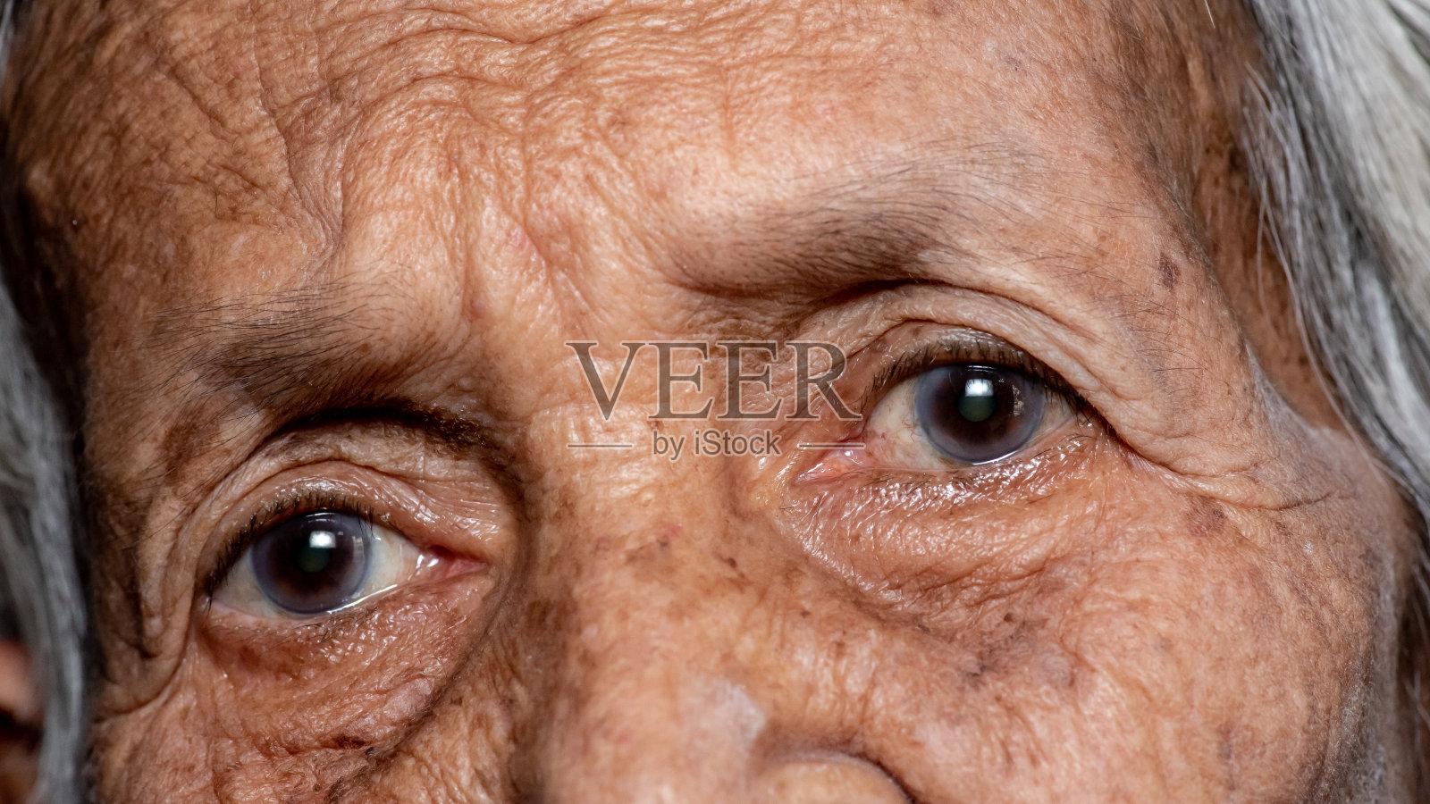 孤独地砍伐树木的老妇人（痴呆症和阿尔茨海默病）照片摄影图片