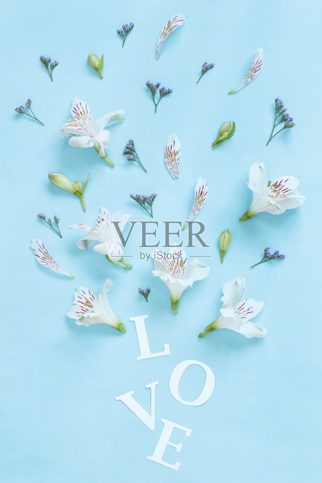 浅蓝色背景上的花朵和“爱”字照片摄影图片