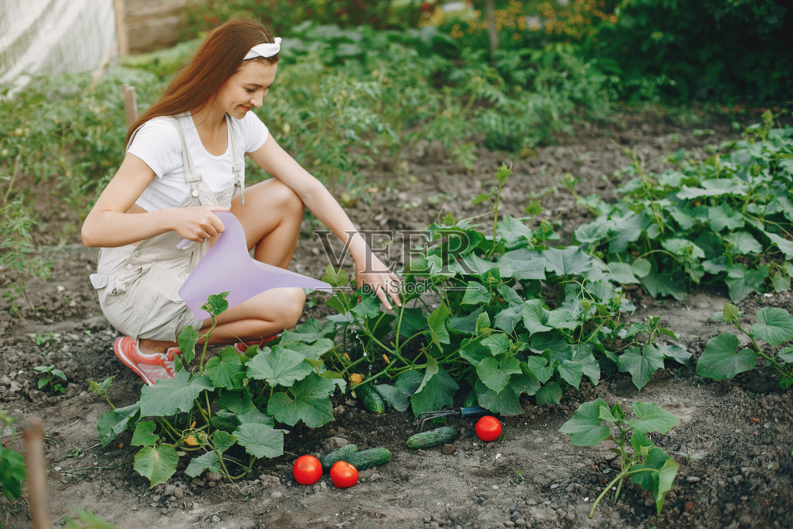 在房子附近花园里工作的女人照片摄影图片