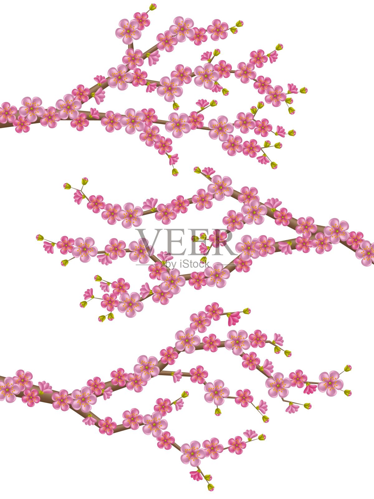 美丽逼真的樱花枝与盛开的花朵和蓓蕾。春天的樱花。矢量插图孤立在白色背景上。设计元素图片