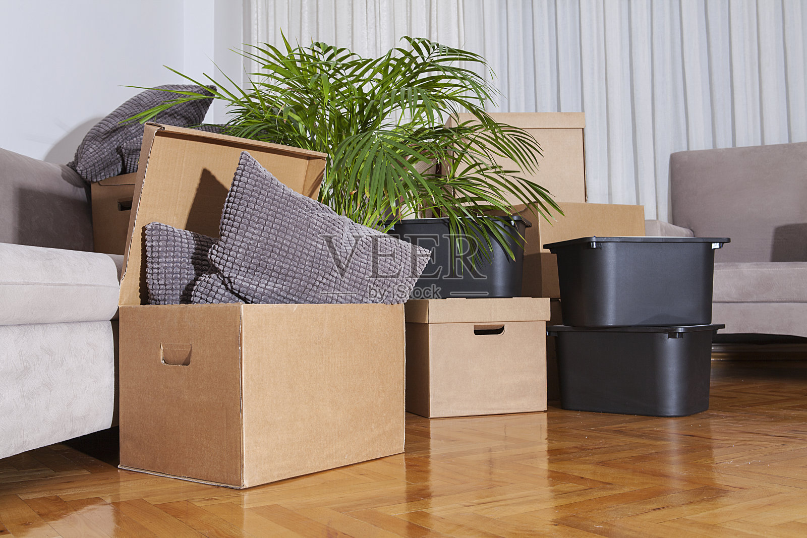 在新房子里搬箱子。房地产的概念。照片摄影图片