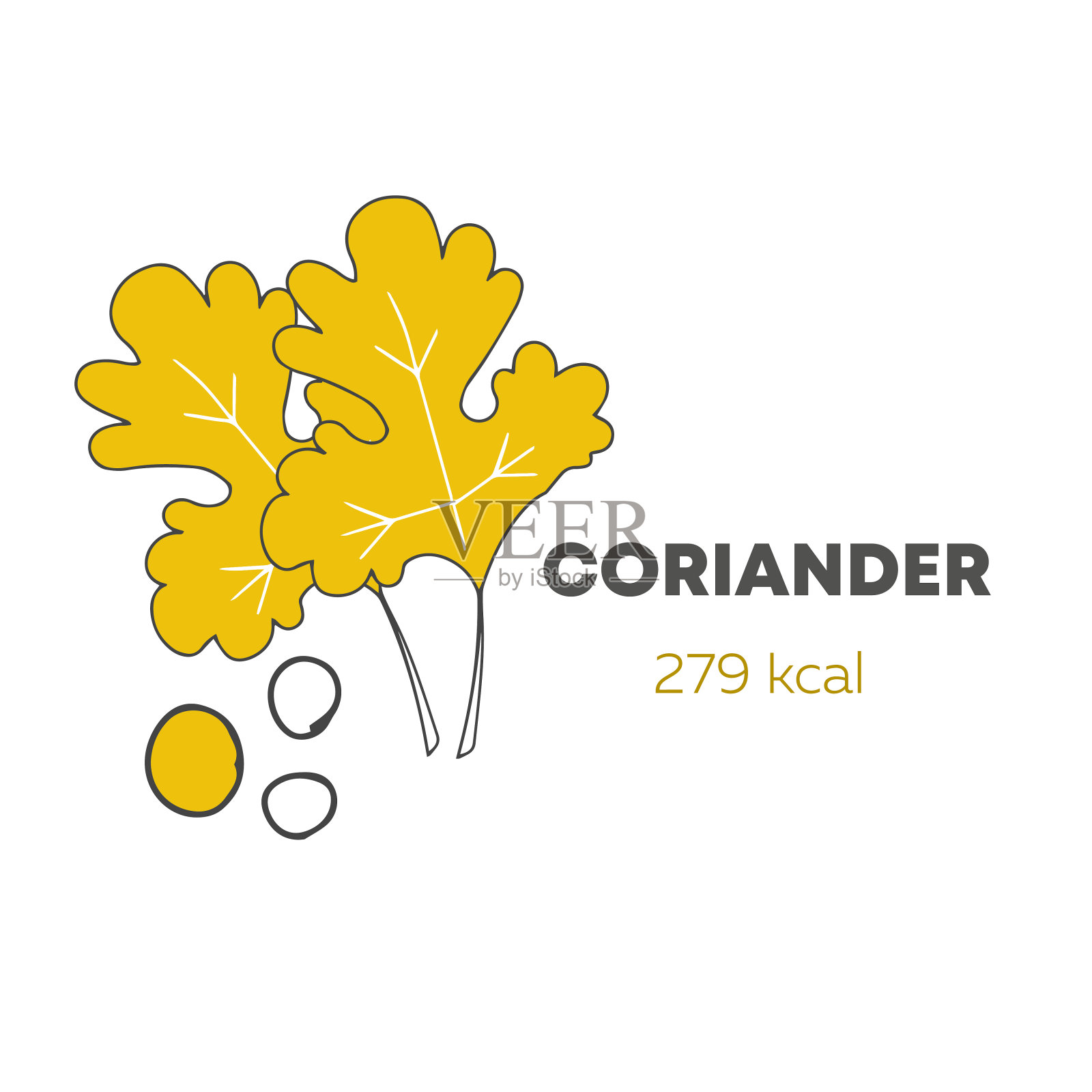 低卡路里食物，健康食物。向量信息图。手绘香菜。卡通风格。插画图片素材