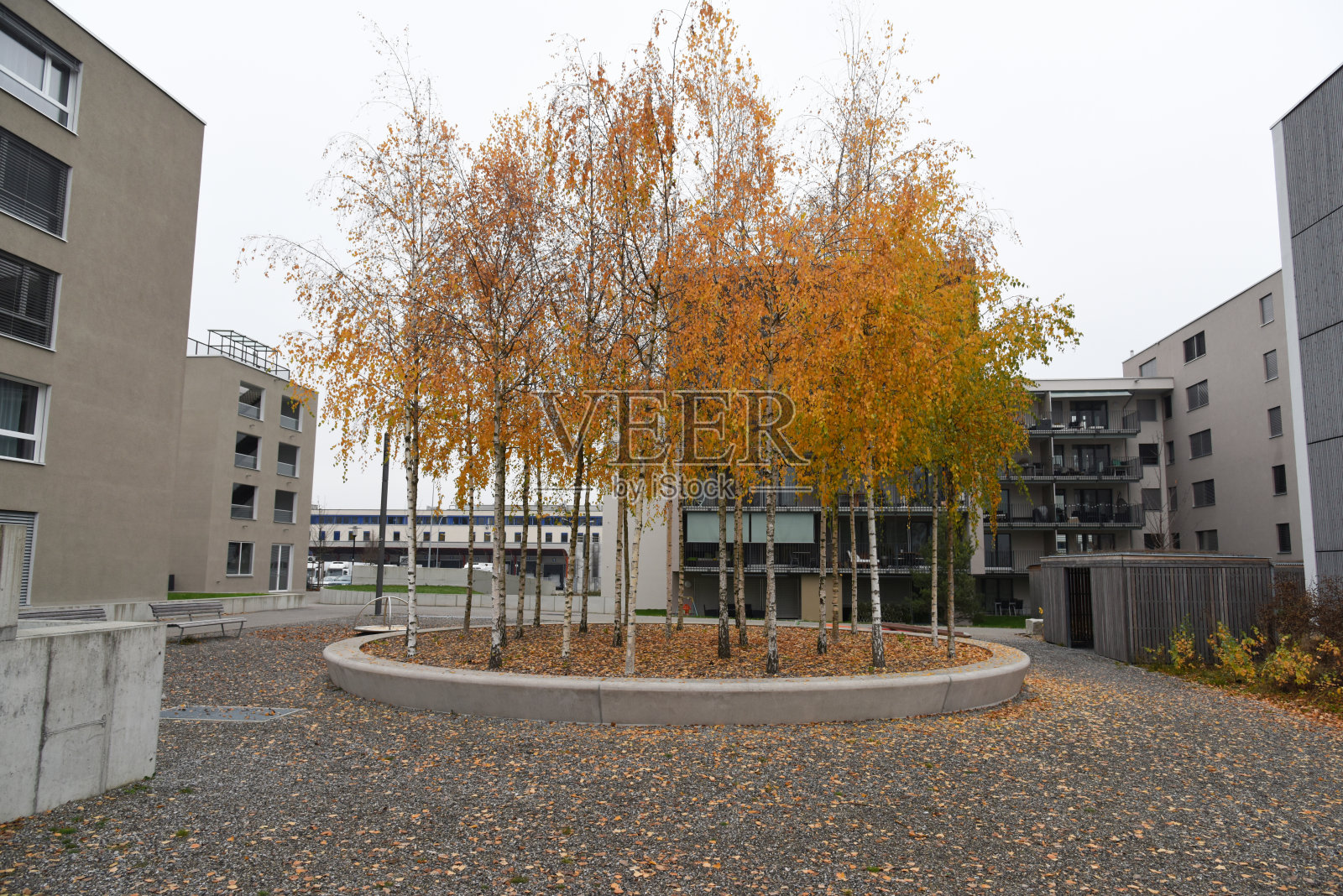 l伦茨堡照片摄影图片