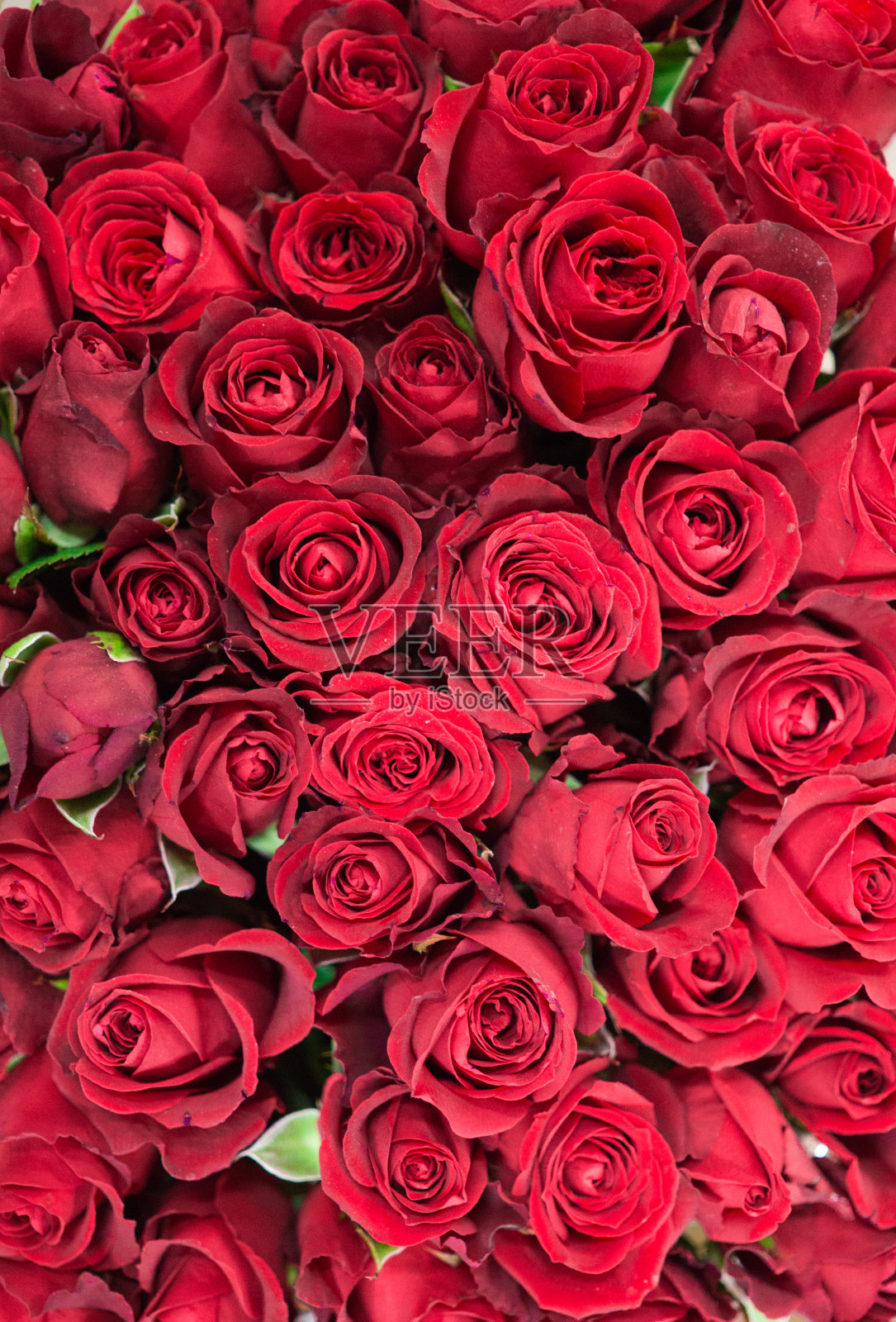 桌子上有许多不同颜色的玫瑰花组成一束照片摄影图片