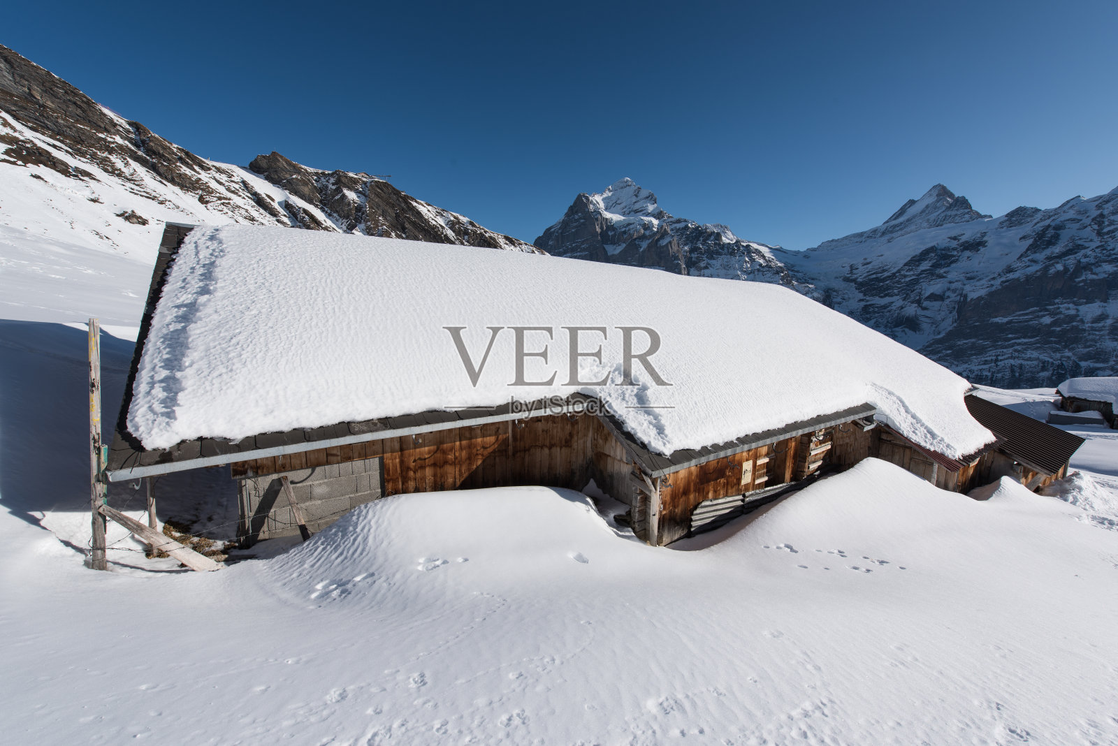 冬天的景色照片摄影图片