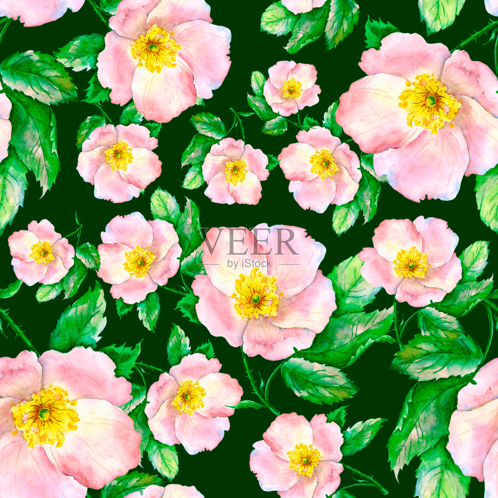 花无缝图案与玫瑰果花和叶插画图片素材