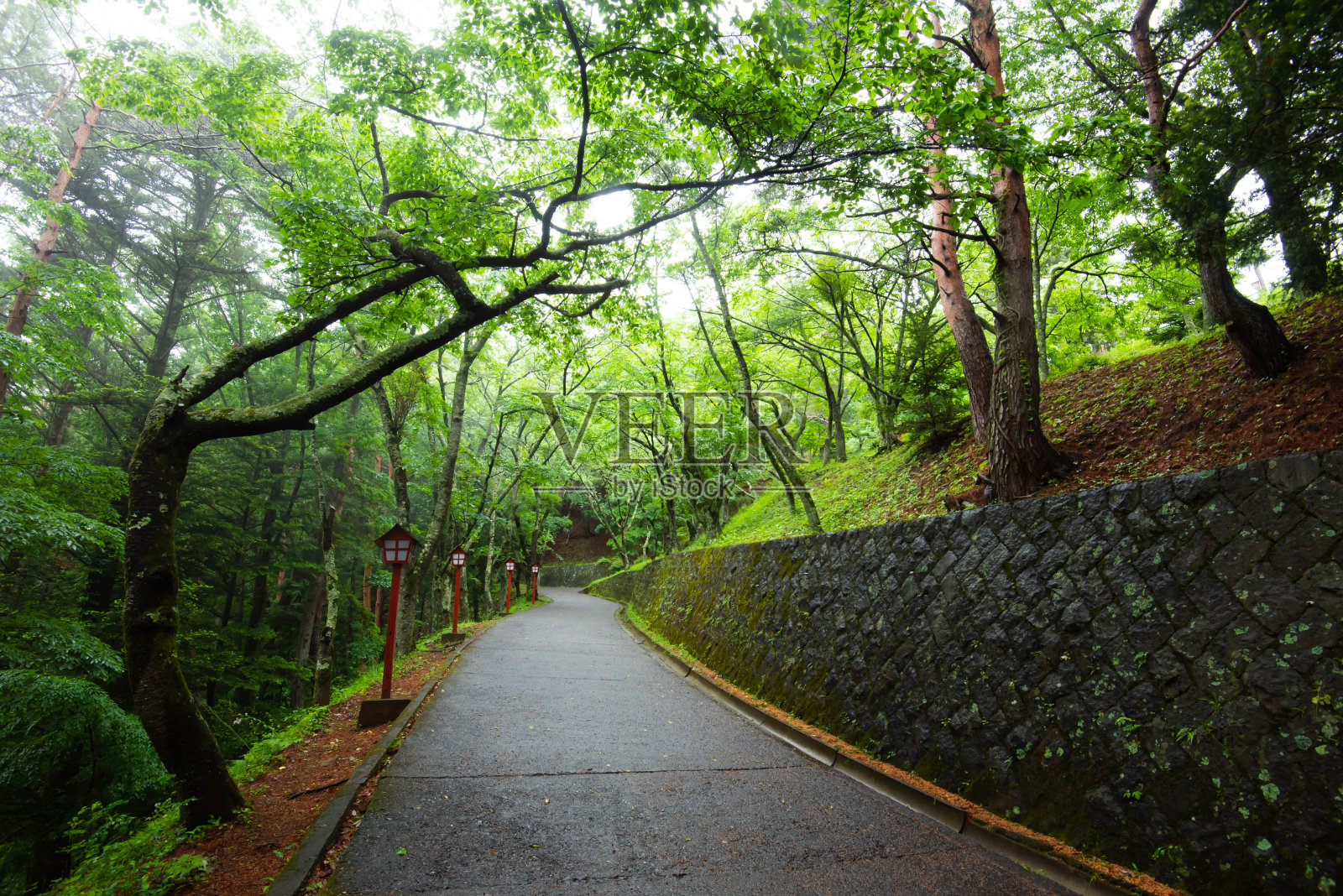路上在公园里有树，可以锻炼和放松照片摄影图片