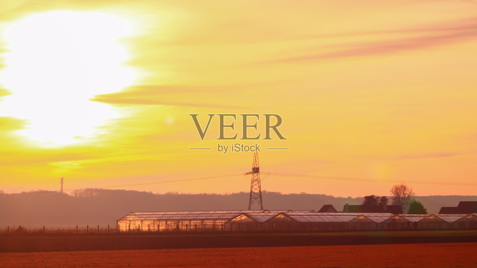 日出时的大型农业温室。照片摄影图片