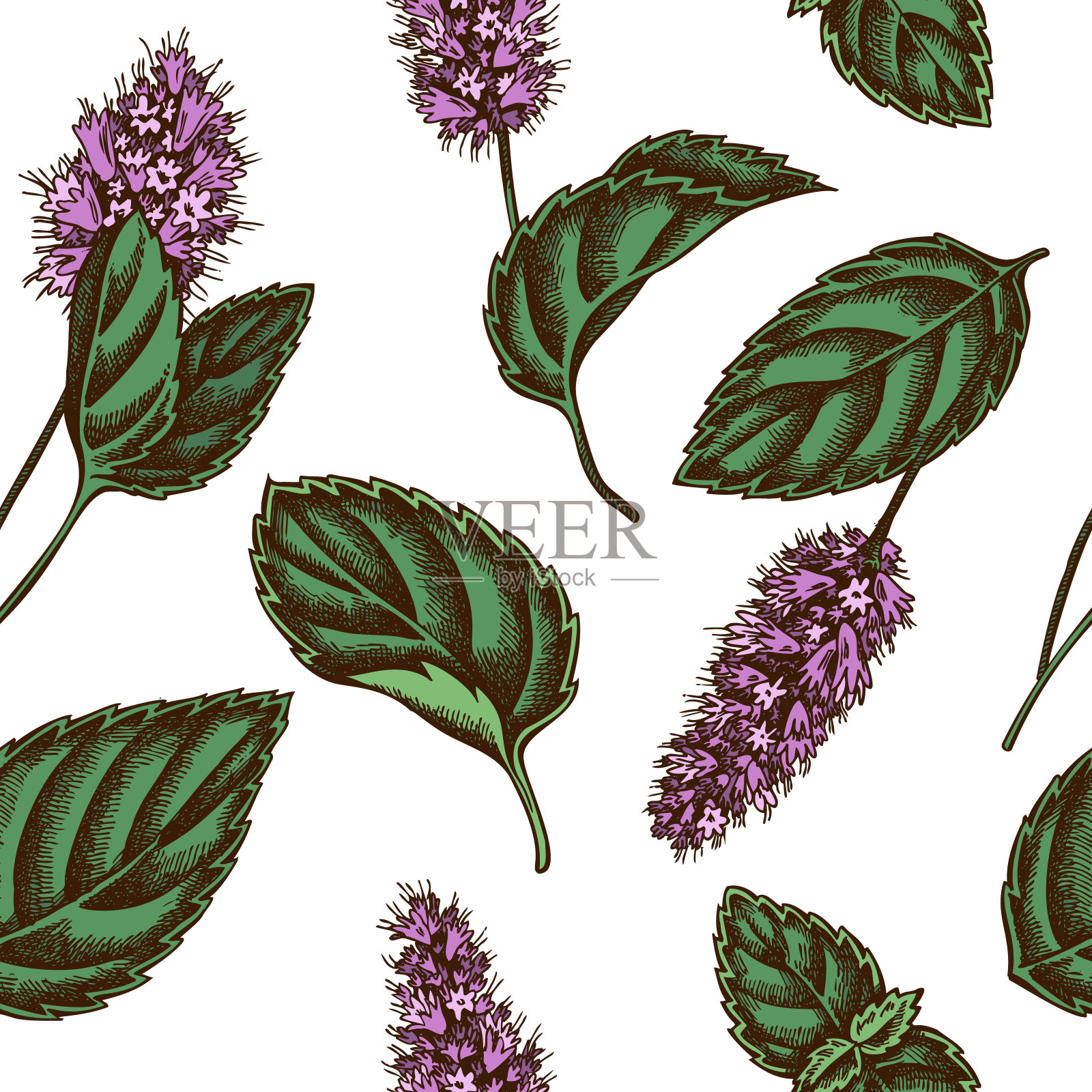 无缝图案与手绘彩色薄荷设计元素图片