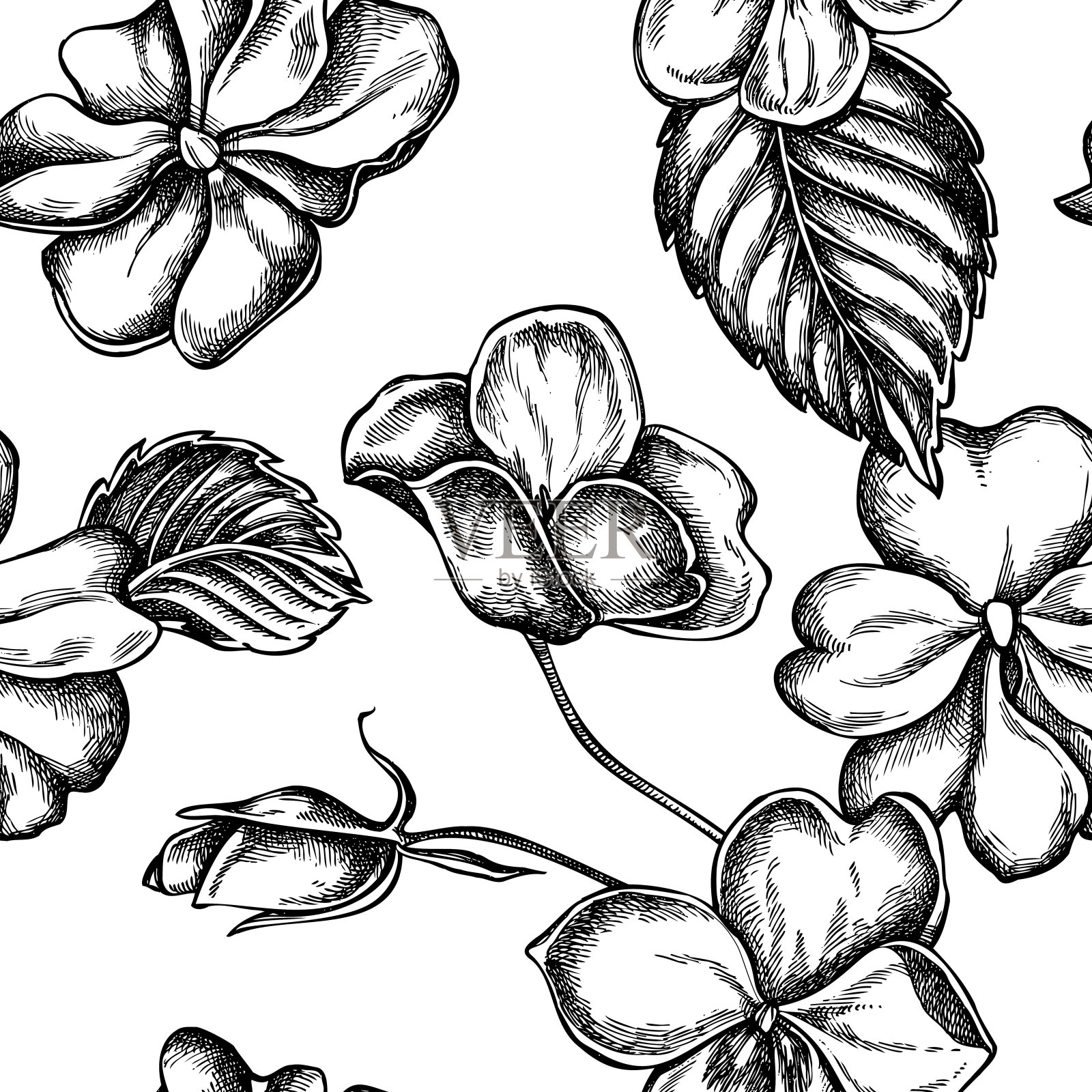 无缝图案与黑白凤仙花插画图片素材