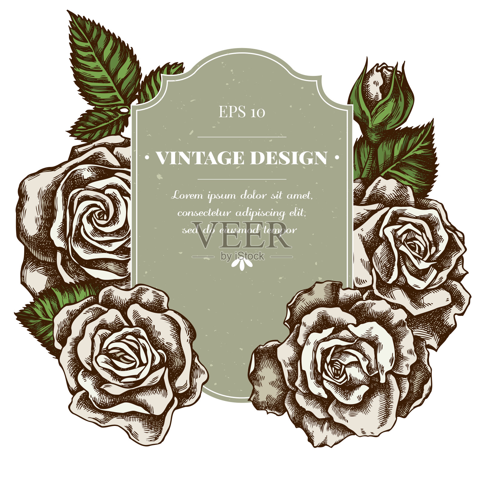 徽章设计与彩色玫瑰插画图片素材