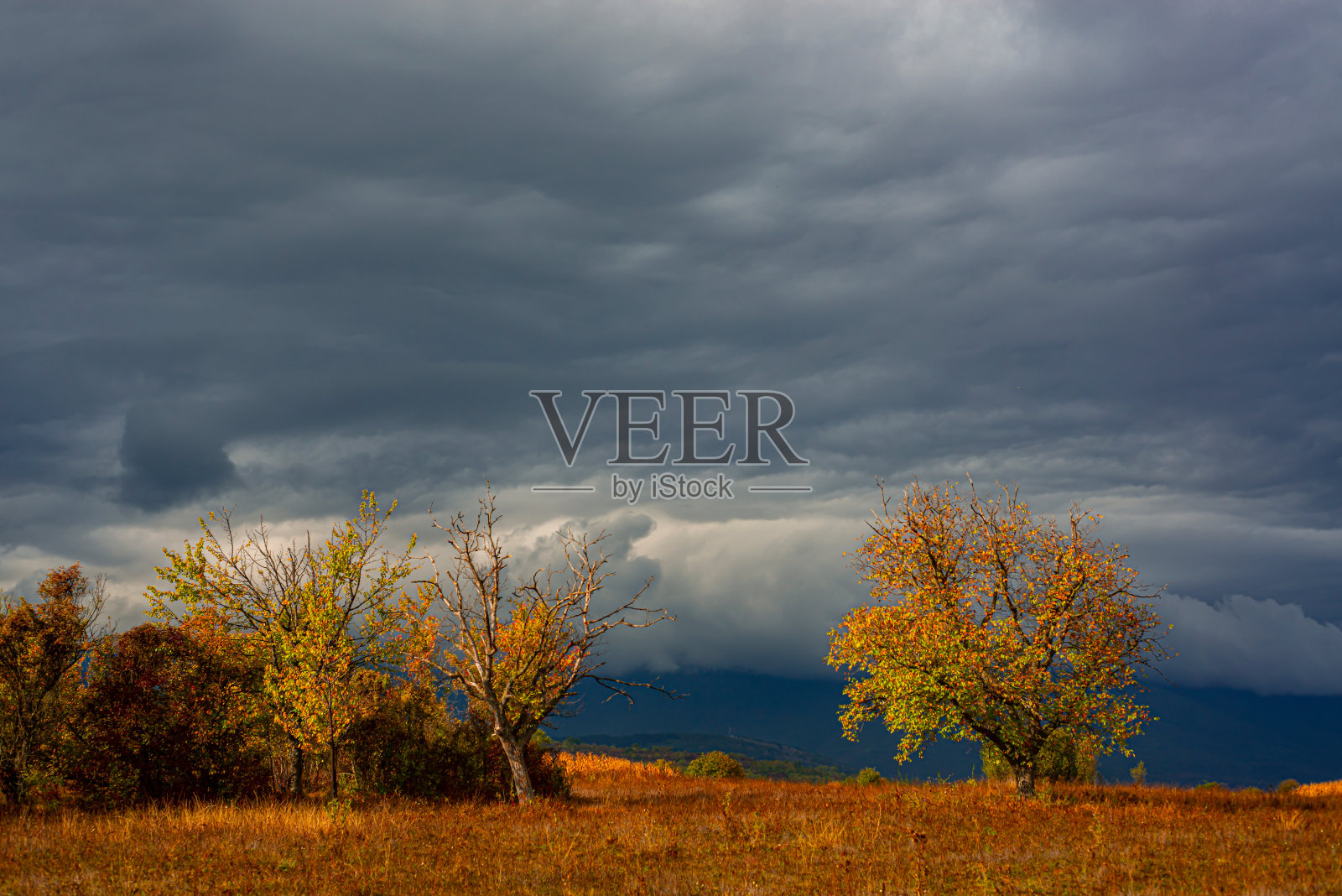秋天的风景照片摄影图片