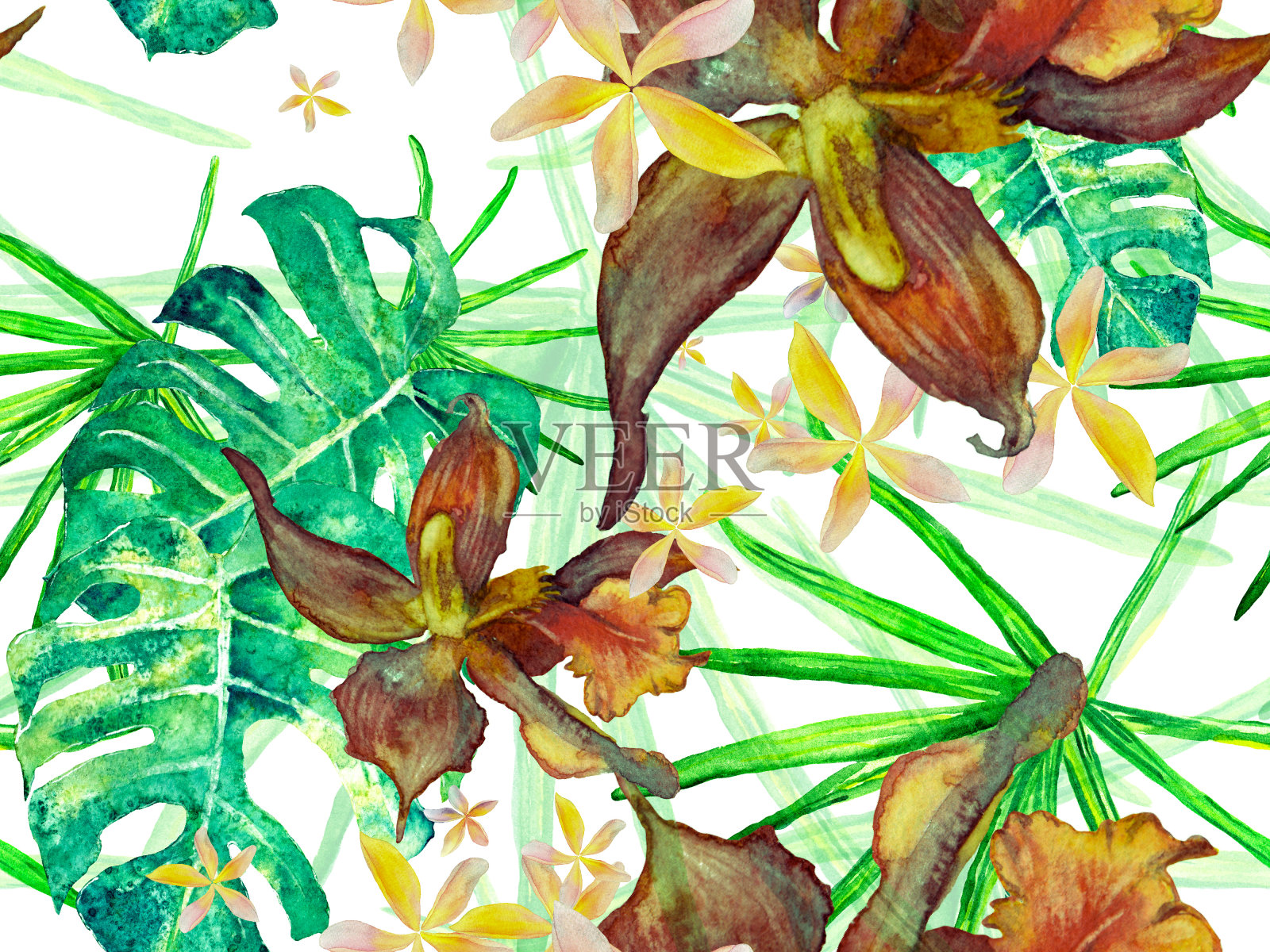 兰花无缝模式。插画图片素材