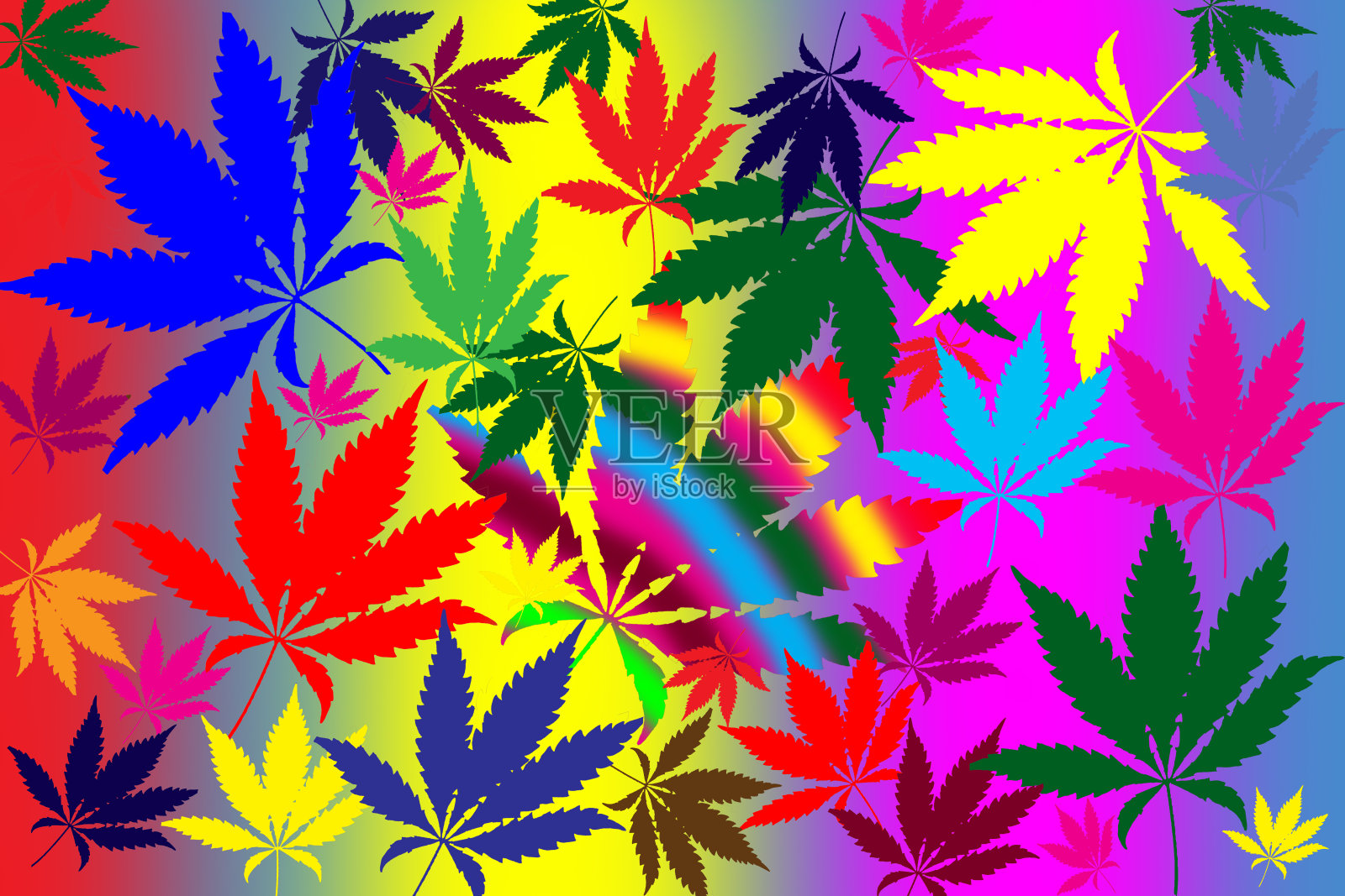 大麻的叶子。插画图片素材